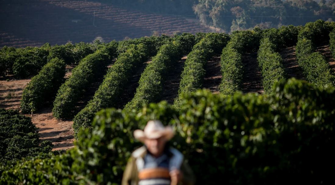 Governo prorroga prazo de pagamento do crédito rural com vencimento em 2025