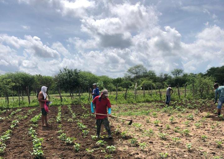 Segunda Fazenda Agroecológica inicia atividades em Juazeiro do Norte