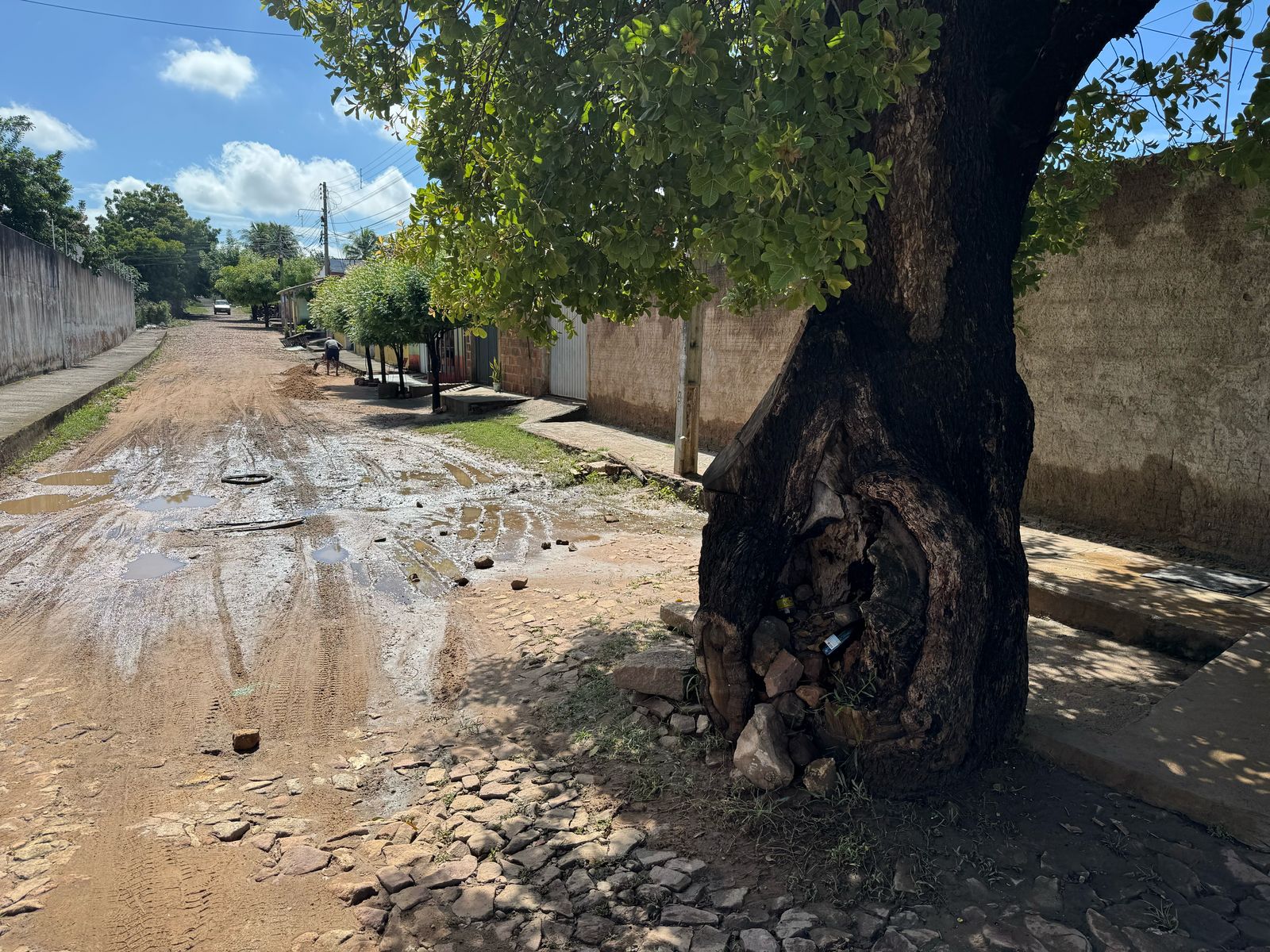 AO VIVO: rua fica inundada e moradores apelam para solução de problemas de infraestrutura na cidade do Crato