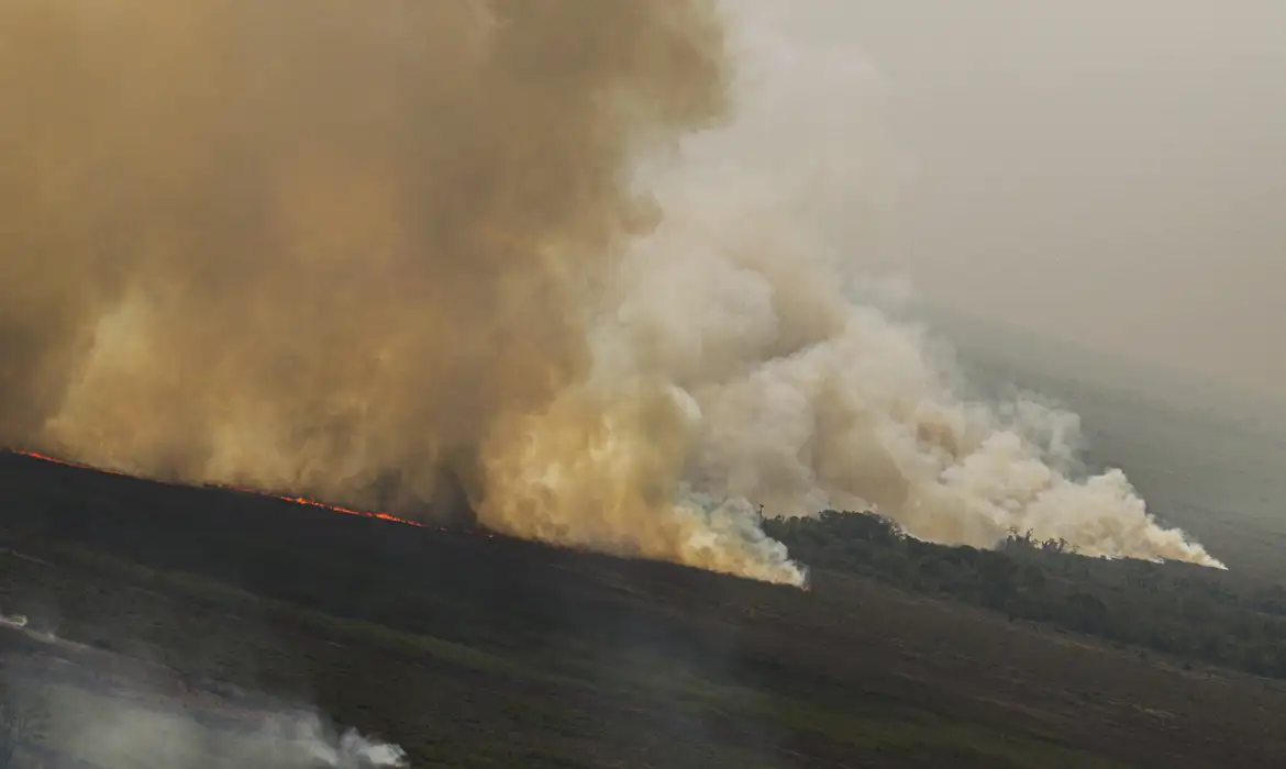 Dino homologa parcialmente plano anti-incêndios na Amazônia e Pantanal